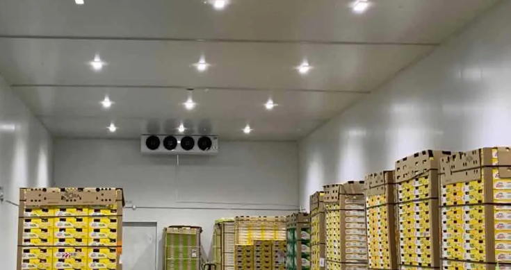 保鮮庫工程 保鮮庫工程