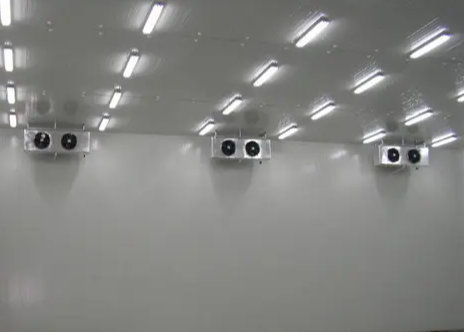 南京速凍冷庫 南京速凍冷庫