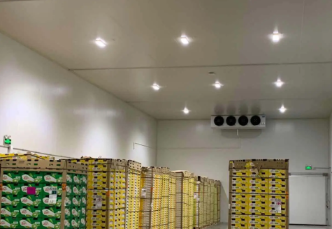 農產品保鮮冷庫 農產品保鮮冷庫