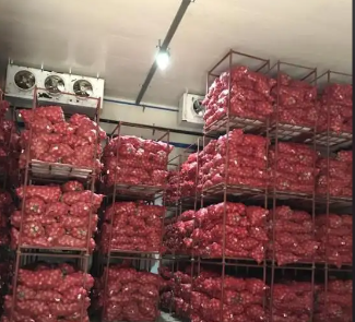 冷庫造價 冷庫造價