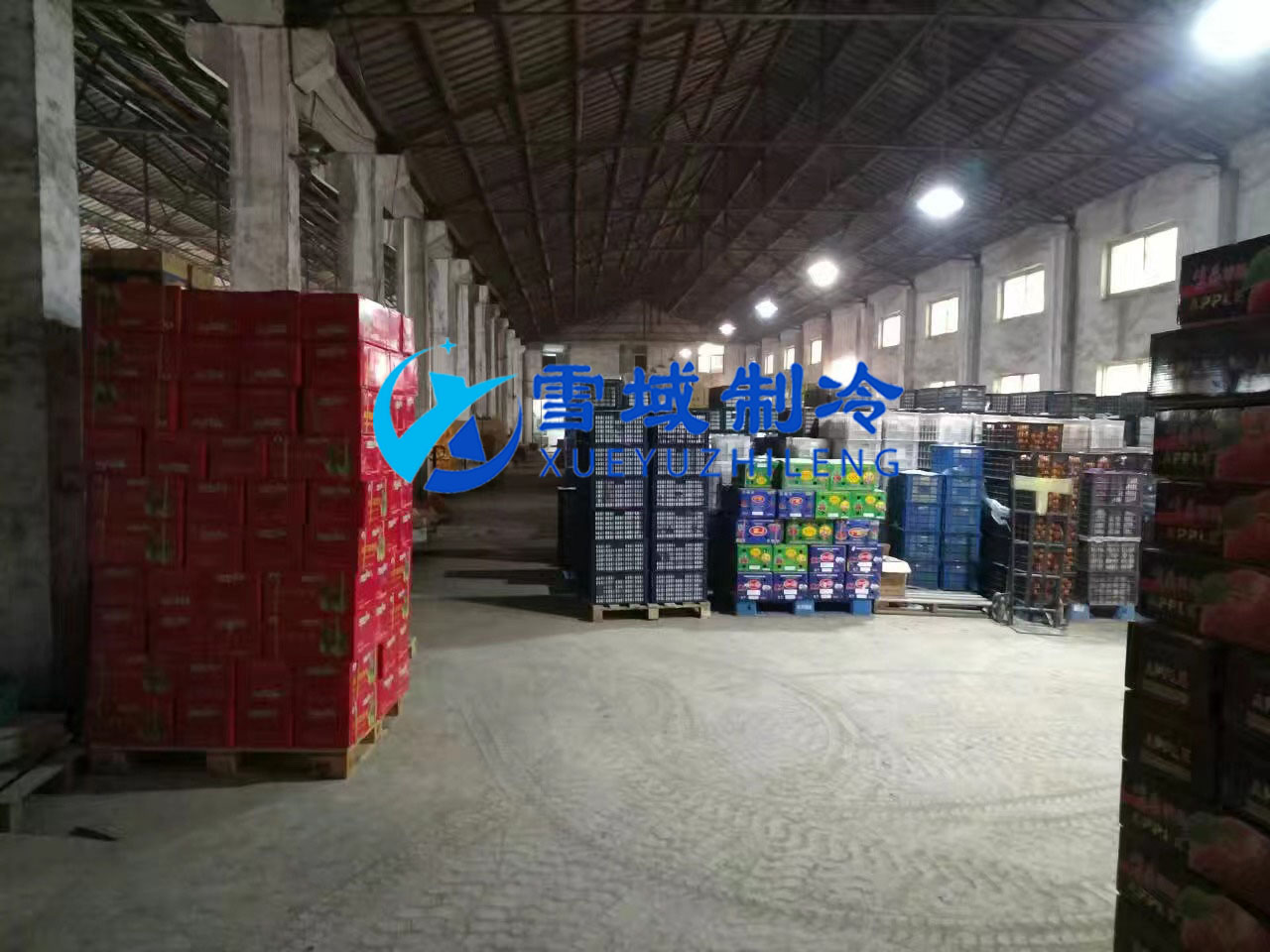 南京某水果公司水果冷庫現場圖片 南京某水果公司水果冷庫現場圖片
