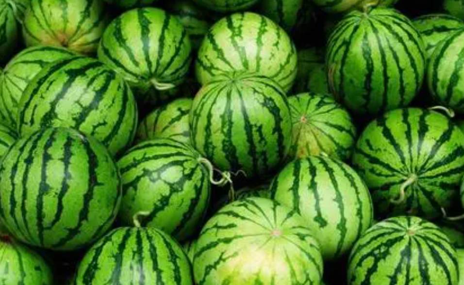 西瓜保鮮冷庫(kù) 西瓜保鮮冷庫(kù)