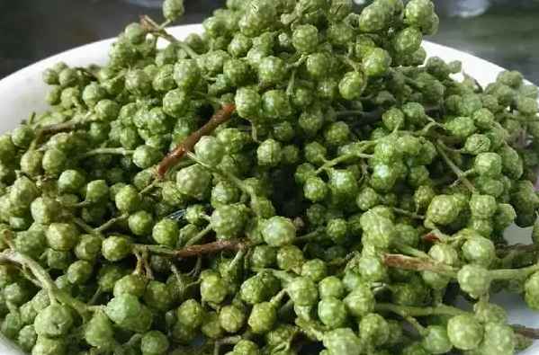 藤椒冷庫設(shè)計 藤椒冷庫設(shè)計