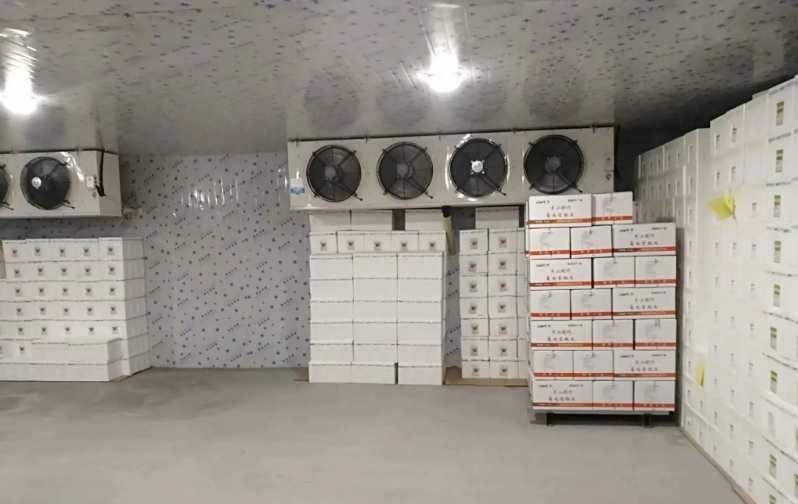 冷庫的安全操作,您知道哪些 冷庫的安全操作,您知道哪些