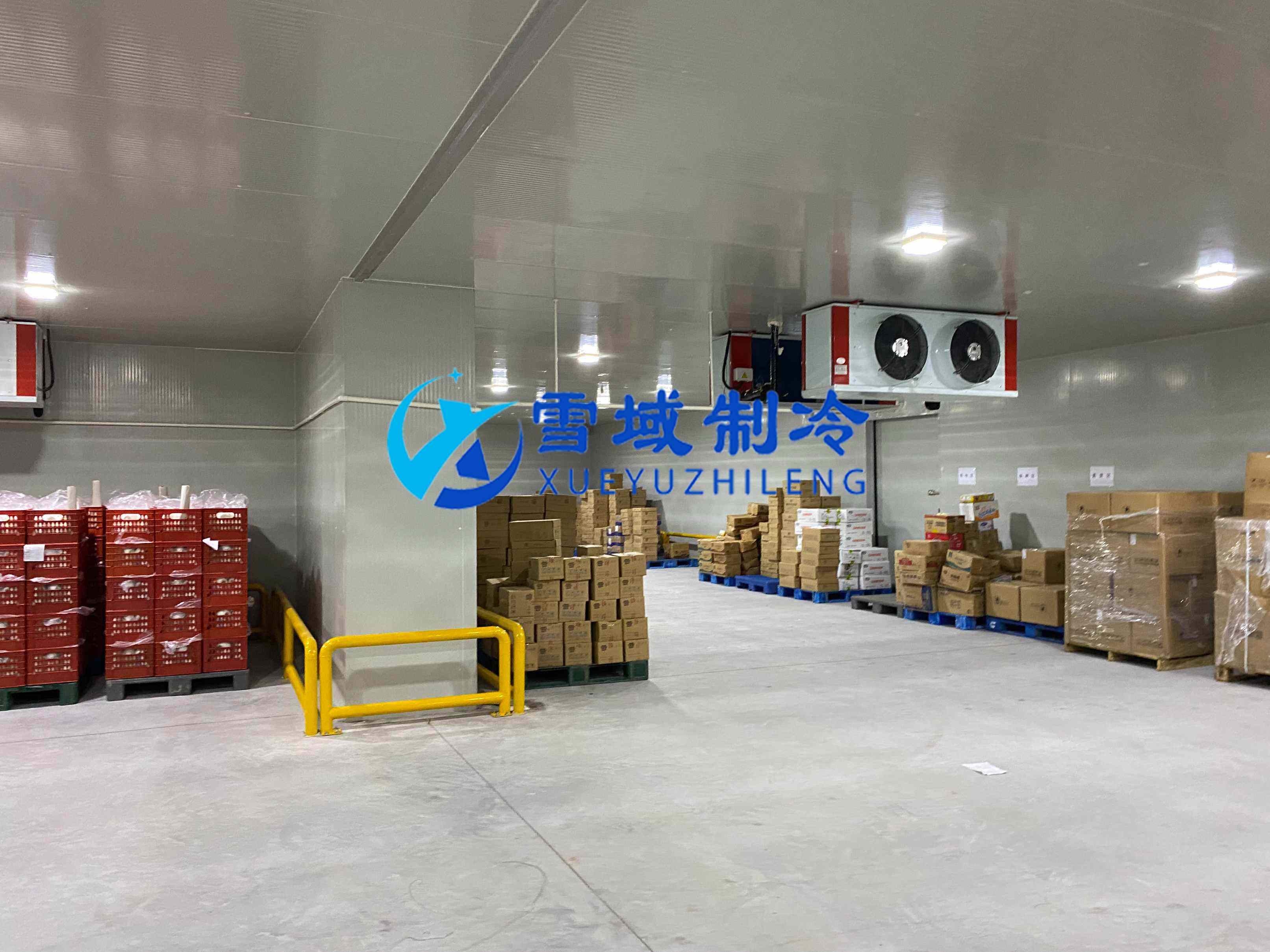 南京江寧速凍乳品冷庫現場圖片 南京江寧速凍乳品冷庫現場圖片
