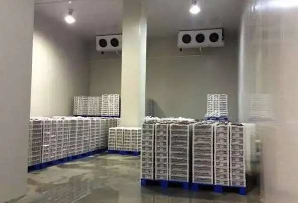 投資建一個龍蝦冷凍庫要多少錢 投資建一個龍蝦冷凍庫要多少錢