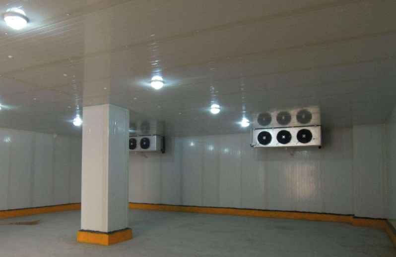 保鮮冷庫中如何正確存儲黃瓜 保鮮冷庫中如何正確存儲黃瓜