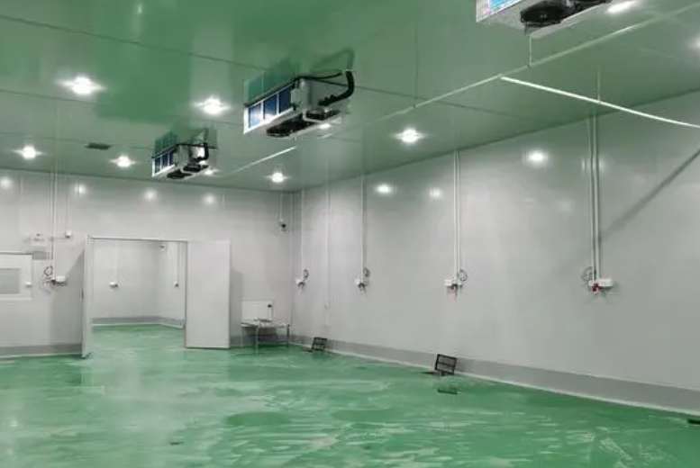 蘇州大型冷藏庫建設(shè)需要多少錢一平米 蘇州大型冷藏庫建設(shè)需要多少錢一平米