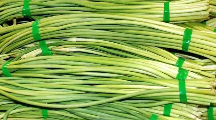 建150平米蒜苗保鮮冷庫需要多少錢 建150平米蒜苗保鮮冷庫需要多少錢