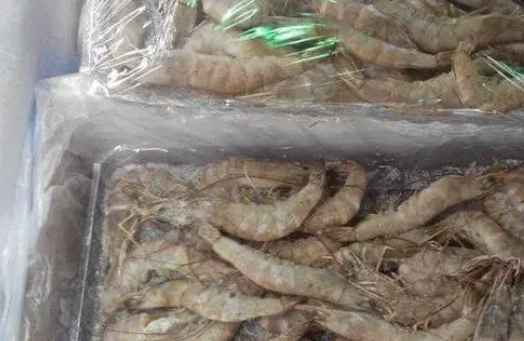 海鮮冷庫建設多少錢一平方