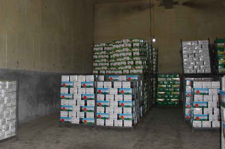 儲藏水果的冷庫造價是多少錢 儲藏水果的冷庫造價是多少錢