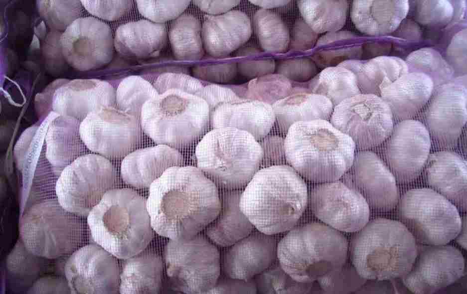 搭建一個(gè)儲(chǔ)存大蒜的冷庫(kù)造價(jià)多少錢 搭建一個(gè)儲(chǔ)存大蒜的冷庫(kù)造價(jià)多少錢