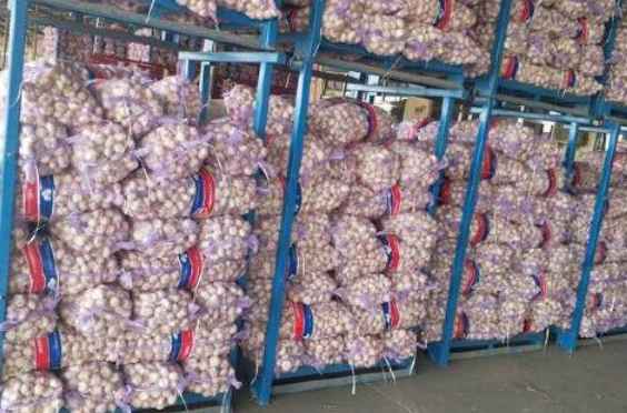 搭建一個(gè)儲(chǔ)存大蒜的冷庫(kù)造價(jià)多少錢 搭建一個(gè)儲(chǔ)存大蒜的冷庫(kù)造價(jià)多少錢