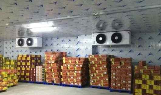 水果冷藏庫改造優化方案 水果冷藏庫改造優化方案