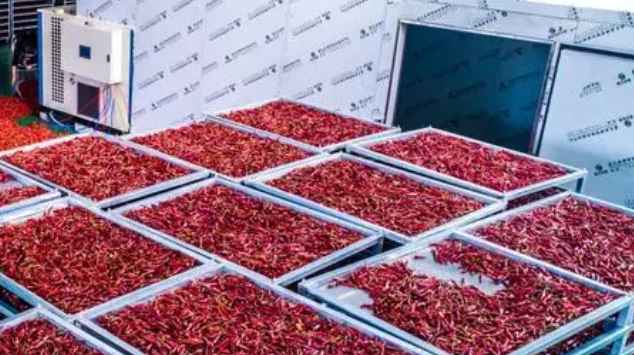 冷庫(kù)保鮮辣椒能保存多久 冷庫(kù)保鮮辣椒能保存多久