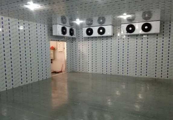1000立方冷凍庫每平方米的造價多少錢 1000立方冷凍庫每平方米的造價多少錢