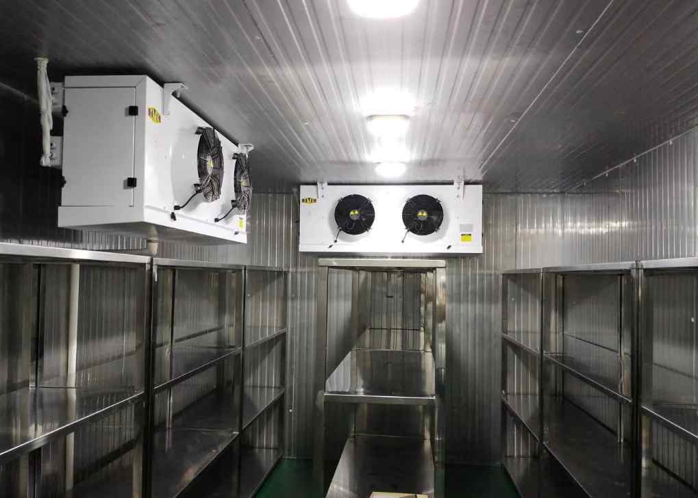 中溫冷庫可以保鮮水果嗎 中溫冷庫可以保鮮水果嗎