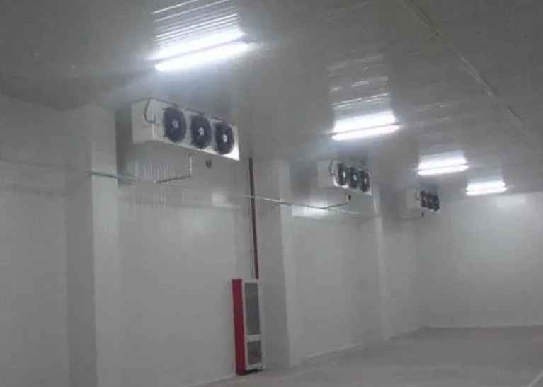 建造1000平方的冷庫需要多少錢 建造1000平方的冷庫需要多少錢