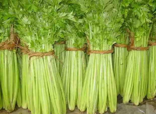 冷庫蔬菜保鮮多少度? 冷庫蔬菜保鮮多少度?