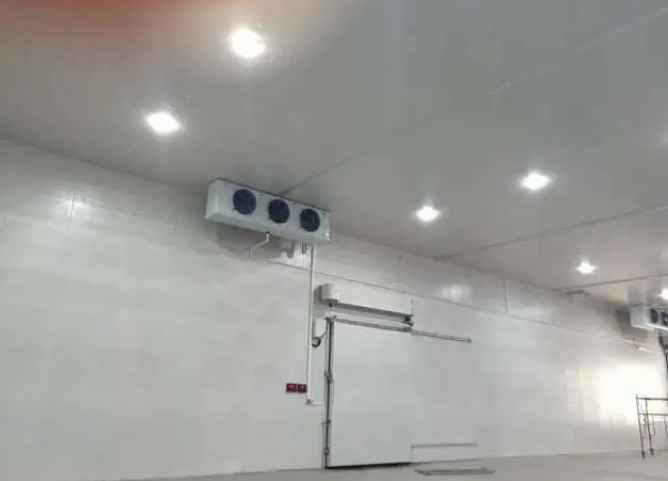 對蝦放進冷庫儲存一般多久 對蝦放進冷庫儲存一般多久