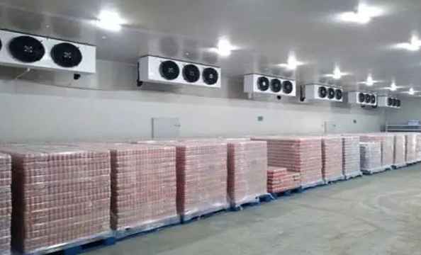 橙子放冷庫(kù)冷藏溫度多少合適 橙子放冷庫(kù)冷藏溫度多少合適