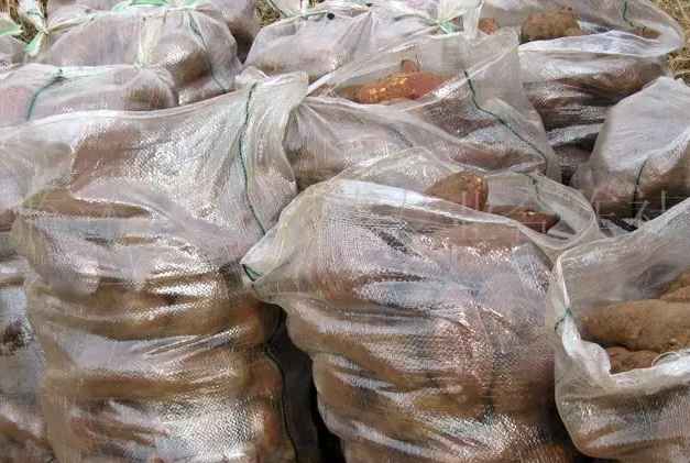 建造地瓜保鮮冷庫需要多少錢 建造地瓜保鮮冷庫需要多少錢