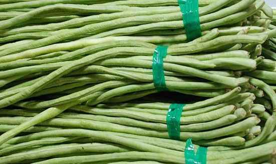 豆角冷庫保鮮5個月的技巧是什么 豆角冷庫保鮮5個月的技巧是什么