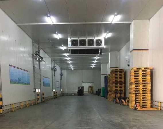 冷庫內的消防噴淋如何設計 冷庫內的消防噴淋如何設計