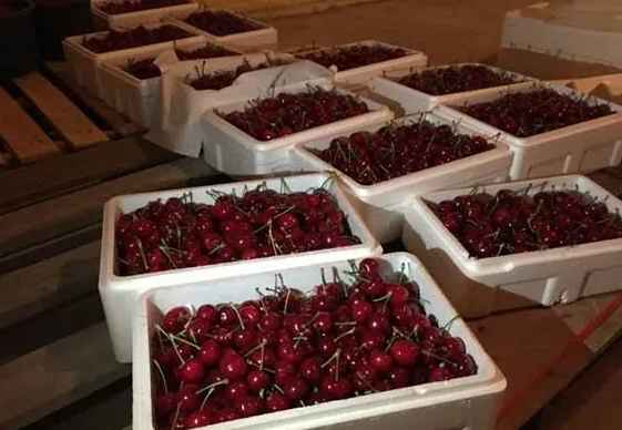 儲藏水果的冷庫造價是多少錢 儲藏水果的冷庫造價是多少錢