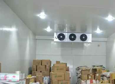 中小型冷庫(kù)內(nèi)部布局規(guī)范 中小型冷庫(kù)內(nèi)部布局規(guī)范