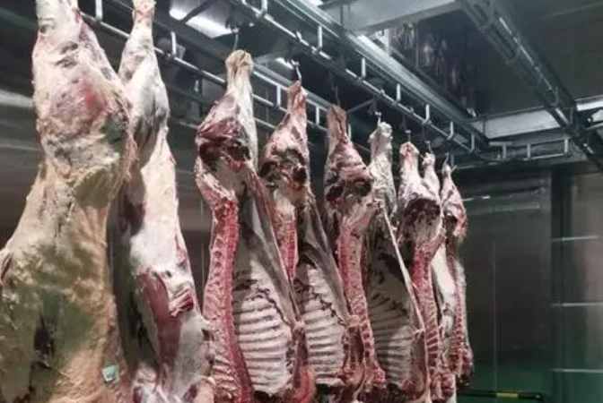 肉類排酸冷庫溫度及技術要求 肉類排酸冷庫溫度及技術要求