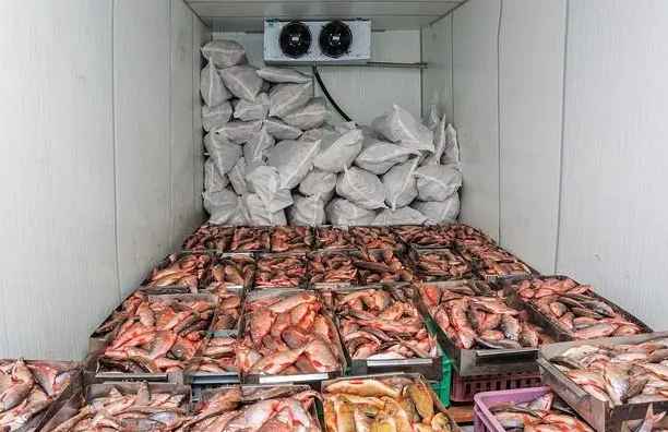 海鮮冷庫用風冷還是排管好 海鮮冷庫用風冷還是排管好