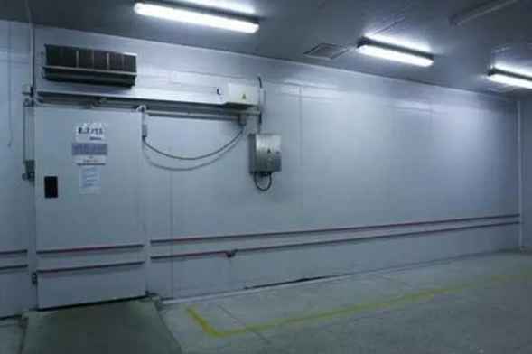 建2000平米排骨冷凍冷庫要多少錢 建2000平米排骨冷凍冷庫要多少錢