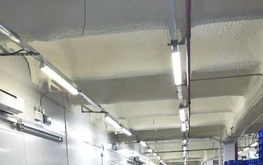 冷庫驗(yàn)收標(biāo)準(zhǔn)有哪些內(nèi)容 冷庫驗(yàn)收標(biāo)準(zhǔn)有哪些內(nèi)容