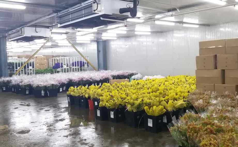 搭建大型保鮮冷庫建造多少錢 搭建大型保鮮冷庫建造多少錢