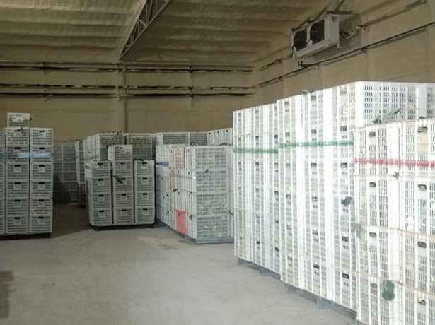 建造100平方的冷庫需要多少成本費用 建造100平方的冷庫需要多少成本費用