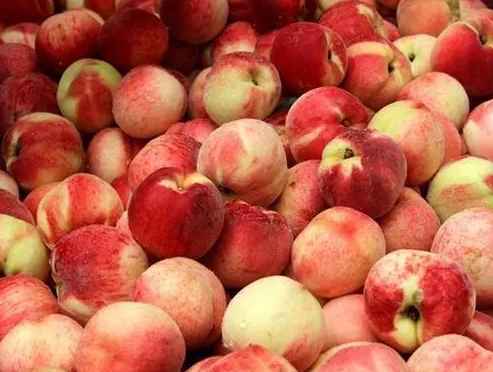 水蜜桃存貯在保鮮冷庫里能放幾天 水蜜桃存貯在保鮮冷庫里能放幾天