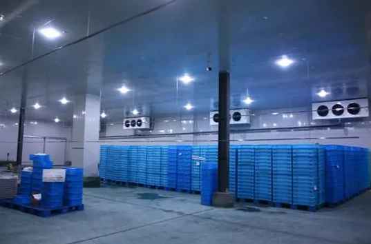 冷庫設計標準是什么 冷庫設計標準是什么