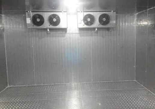 建一個帶魚冷凍庫需要多少錢 建一個帶魚冷凍庫需要多少錢