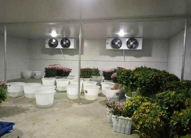 建造一個冷庫需要哪些設(shè)備和材料 建造一個冷庫需要哪些設(shè)備和材料