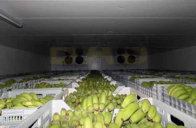 造一個450平米冷庫要多少費(fèi)用 造一個450平米冷庫要多少費(fèi)用