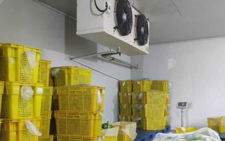 蔬菜冷庫造價(jià)多少一平方米 蔬菜冷庫造價(jià)多少一平方米