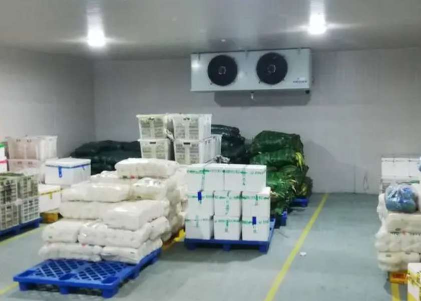 建一個水果氣調保鮮庫要多久完工 建一個水果氣調保鮮庫要多久完工