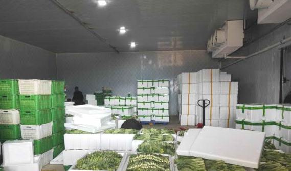 蘇州蔬菜氣調(diào)冷庫大概多少錢 蘇州蔬菜氣調(diào)冷庫大概多少錢