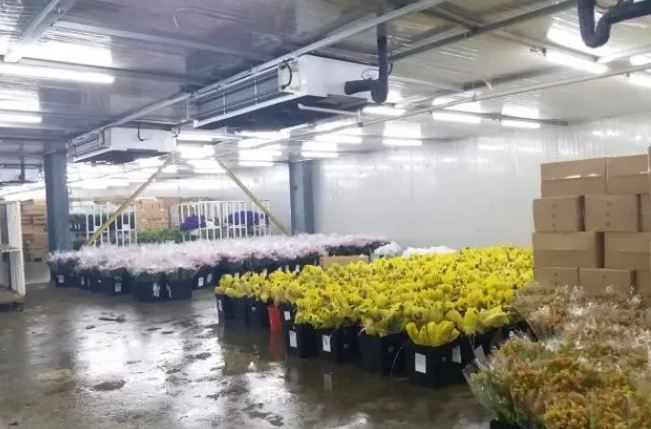 建造鮮花冷庫(kù)多少錢一平方 建造鮮花冷庫(kù)多少錢一平方