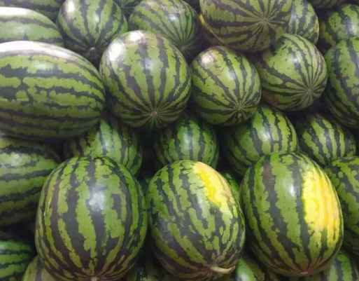 小型西瓜保鮮冷庫(kù)安裝多少錢(qián)