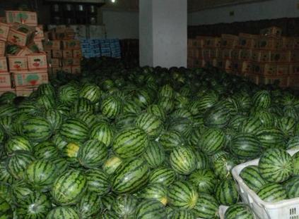 小型西瓜保鮮冷庫(kù)安裝多少錢(qián)