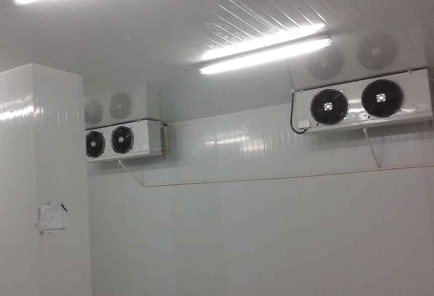 上海地區(qū)小型保鮮冷庫建造費(fèi)用多少錢？