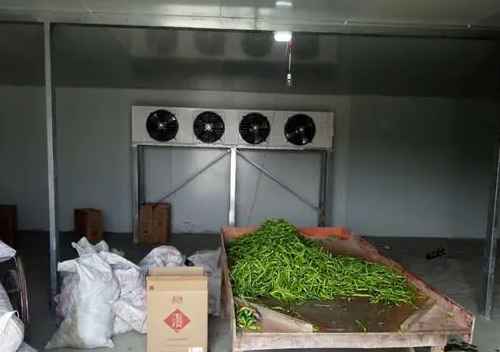 茶葉放冷庫一般設定多少度合適 茶葉放冷庫一般設定多少度合適