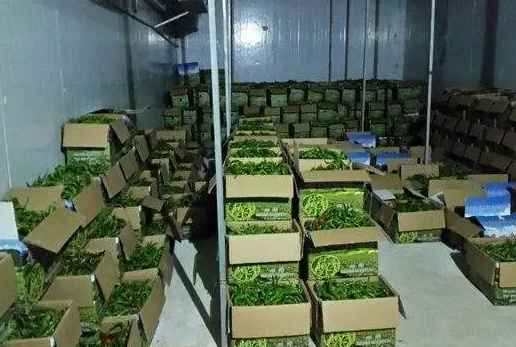 冷庫(kù)能使用泡沫板搭建嗎 冷庫(kù)能使用泡沫板搭建嗎